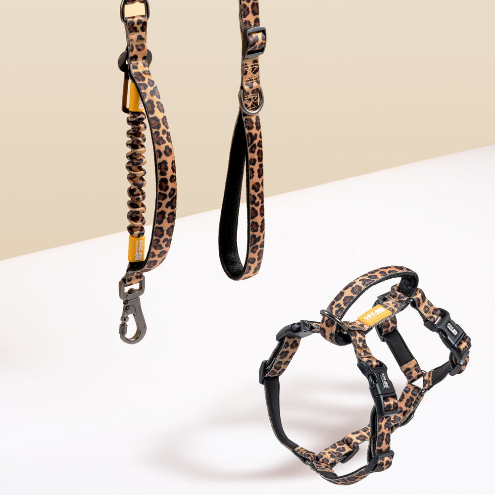 Harness Walk Kit - Leopard Skin