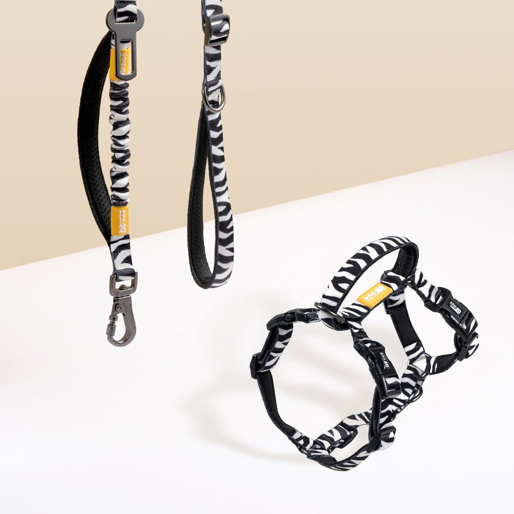 
                      
                        DFPET Zebra Print Harness Walk Kit
                      
                    