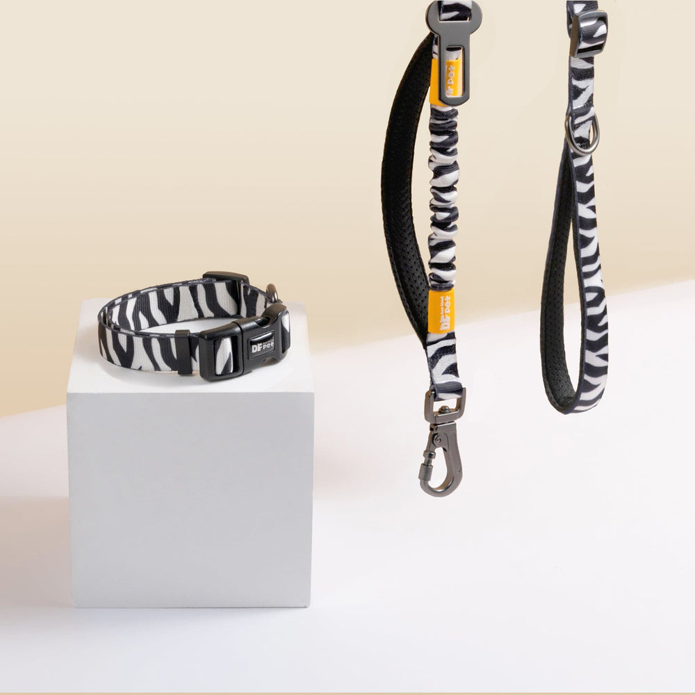 
                      
                        DFPET Zebra Print Collar Walk Kit
                      
                    