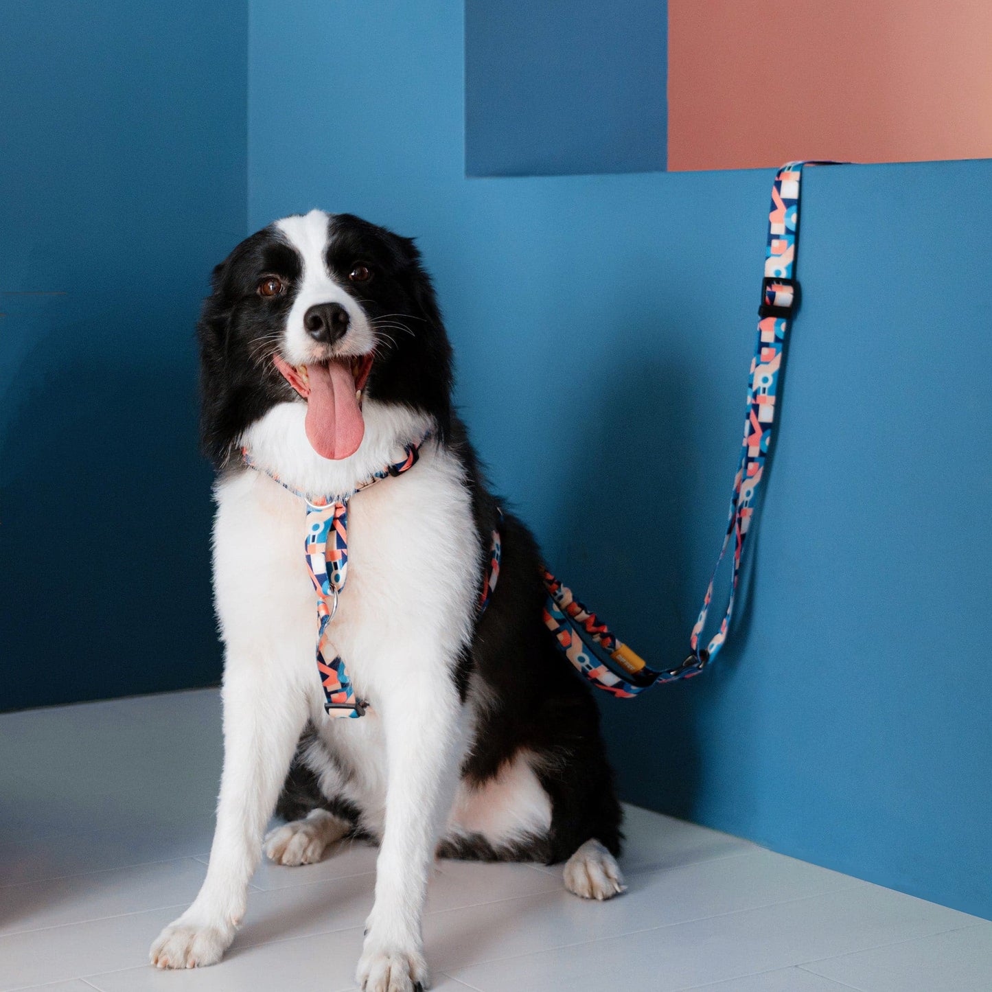 Multifunctional Bungee Leash - Abstract Pattern