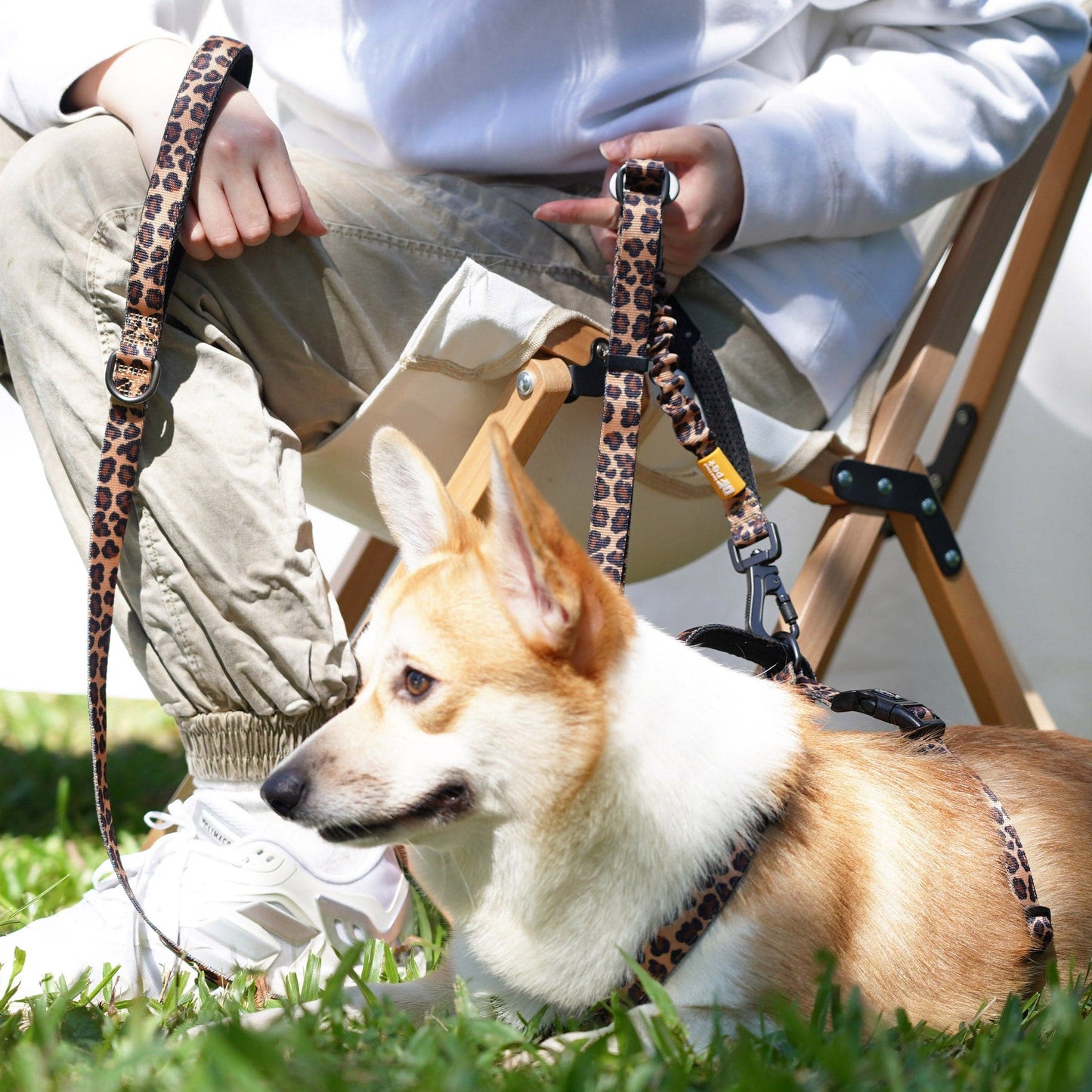 Multifunctional Bungee Leash - Leopard Skin