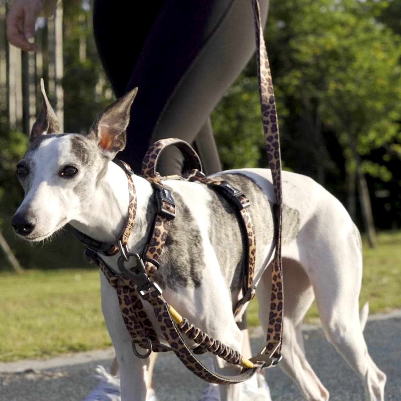 Speedy Dogs Fabric Dog Walking Bag whippet Greyhound 