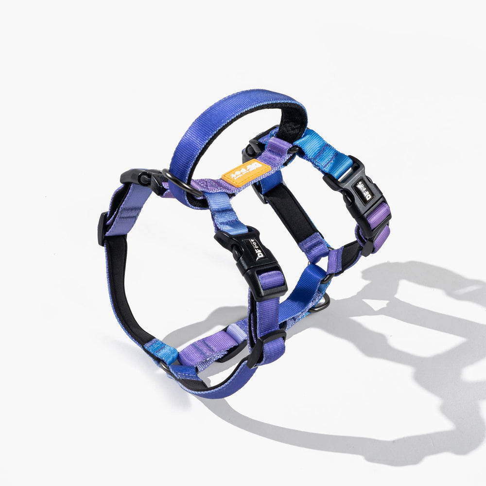 
                      
                        DFPET Harness Gradient Purple
                      
                    