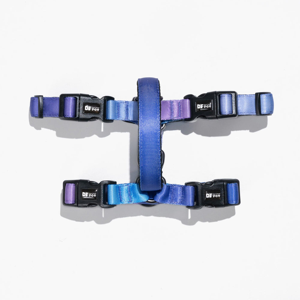 
                      
                        DFPET Harness Gradient Purple
                      
                    