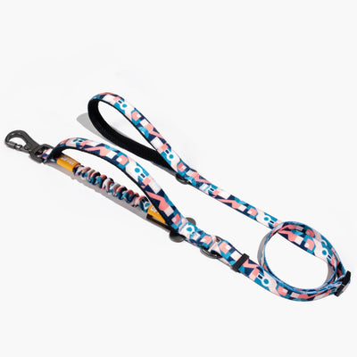 No-Pull Dog Leash Abstract Pattern