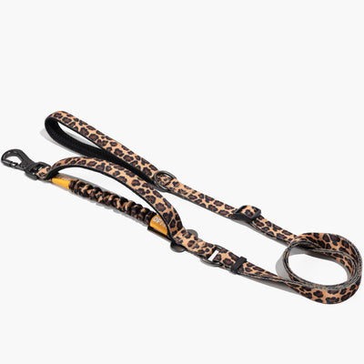 No-Pull Dog Leash Leopard Skin