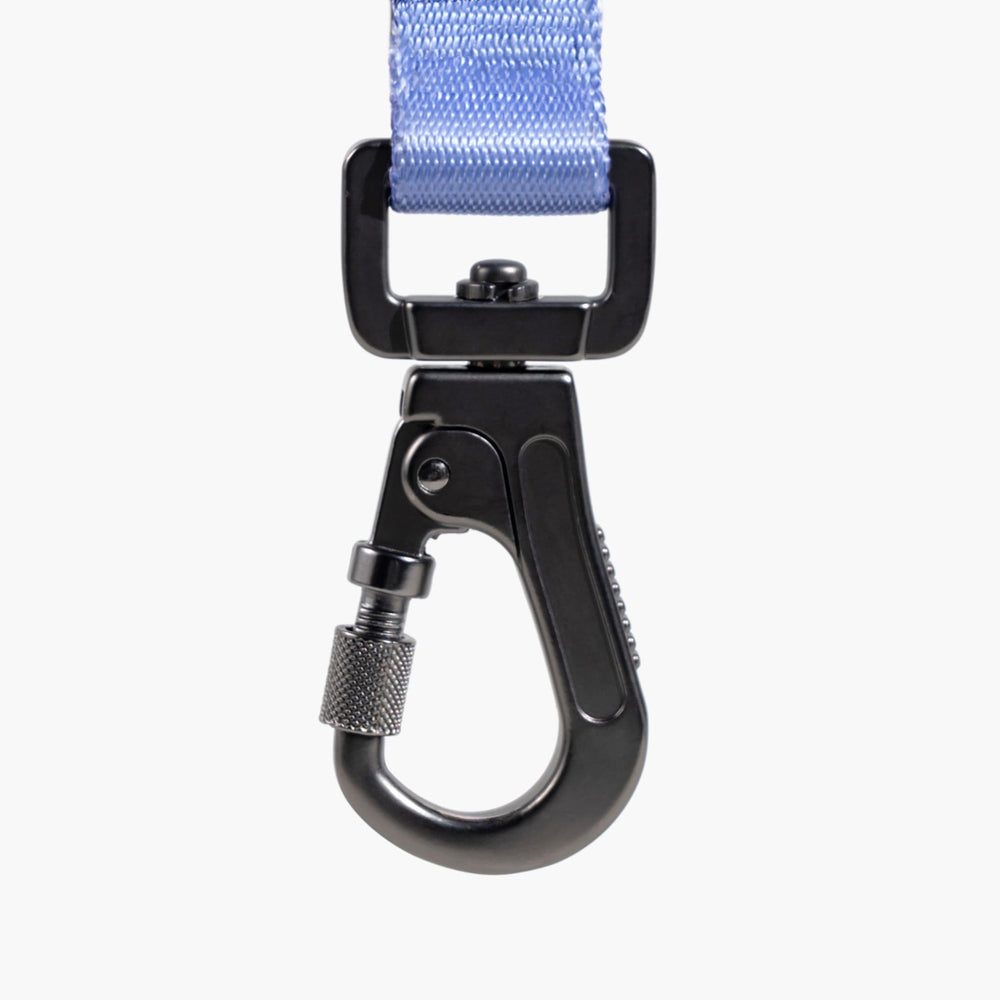 
                      
                        Multifunctional Bungee Leash - Gradient Purple
                      
                    