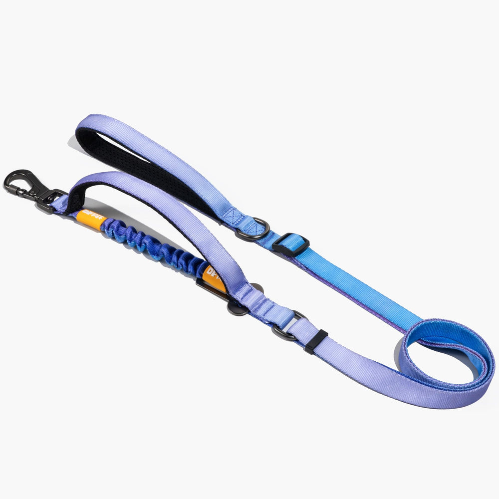 
                      
                        Multifunctional Bungee Leash - Gradient Purple
                      
                    