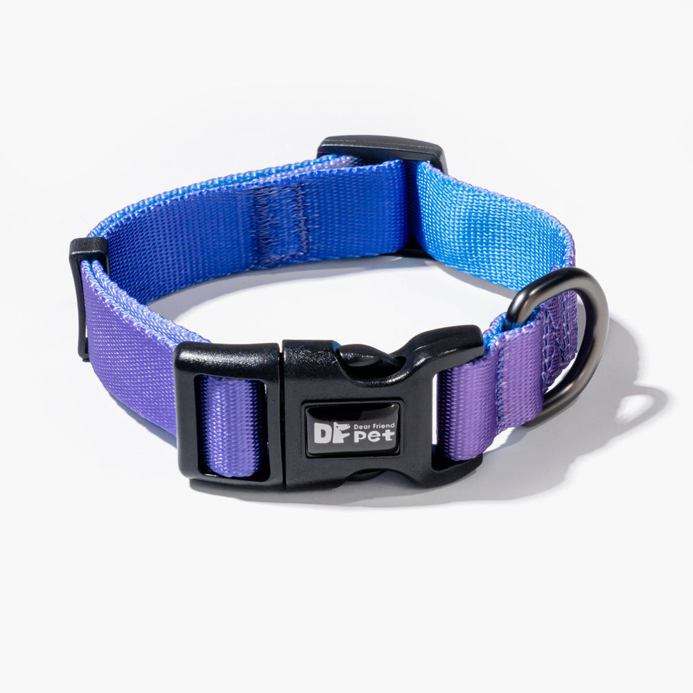 DFPET COLLAR Gradient Purple#color_Gradient-Purple