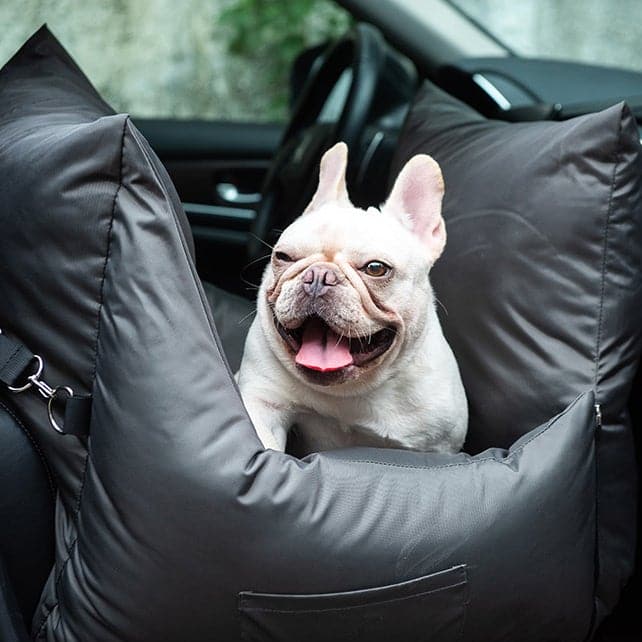 
                      
                        DearFriend PET Dog Car Bed for Puppy
                      
                    