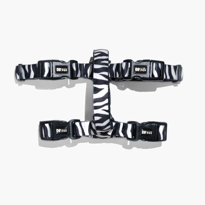 Zebra Print Harness Walk Kit